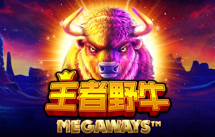 世界功夫足球
